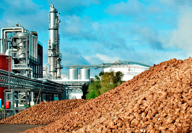 Bioethanolwerk Nordzucker AG_Wanzleben-Börde_Foto BDBe.jpg