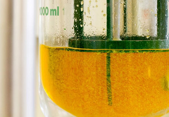 PB: Bioreaktor im Labormaßstab zur Optimierung der Fermentationsbedingungen / © Fraunhofer IGB