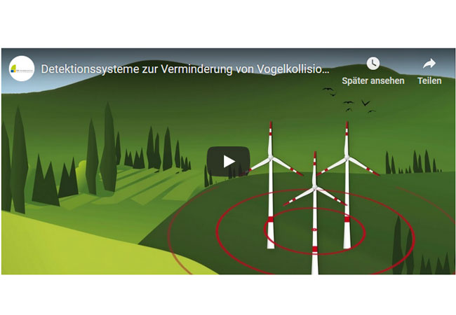Videobild: Detektionssysteme zur Verminderung von Vogelkollisionen an Windenergieanlagen