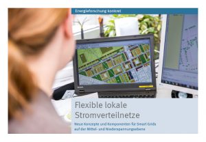 Pressebild: Cover: Neue Konzepte für Smart Grids auf den unteren Spannungsebenen / © BINE