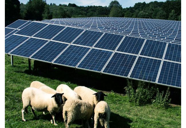 PB: Der Solarpark in Dietzhölztal lag 2018 25% über der Ertragsprognose. (Foto: 7x7energie GmbH)