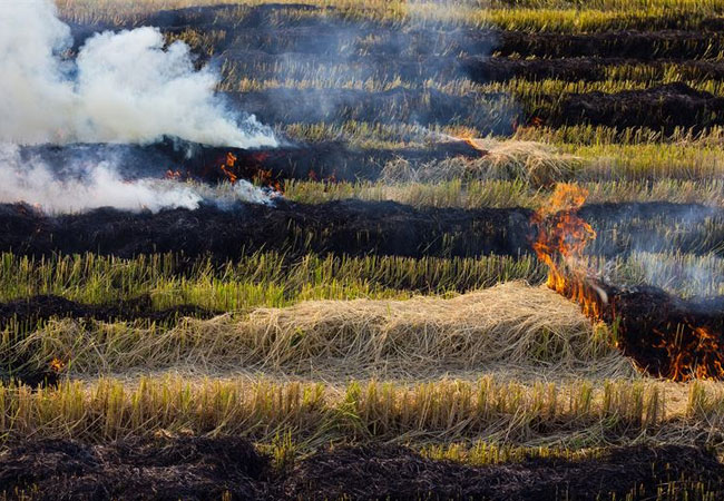 PB: Fortum-Bio2X-burning-straw