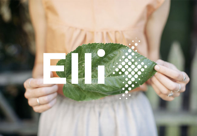 PB: VW-elli