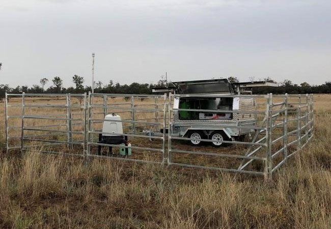 PB: RES-deploy-fleet-of-ZX-Lidars-in-Australia