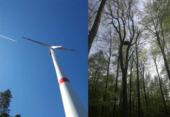 Pressebild: WKA und Nisthilfe im Windpark Hofbieber / Fotos: Lothar Jestädt