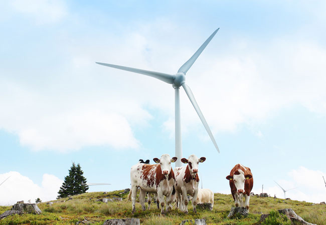 Windpark Pretul copyright: IG Windkraft
