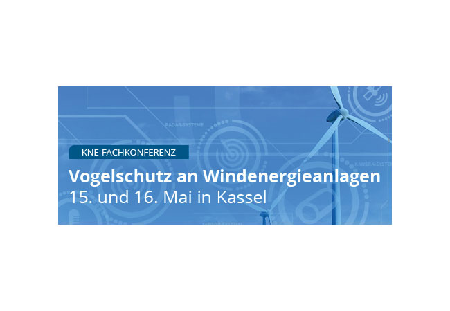 PB: KNE-Fachkonferenz Vogelschutz an Windenergieanlagen / Bildrechte: Kompetenzzentrum Naturschutz und Energiewende (KNE) gGmbH