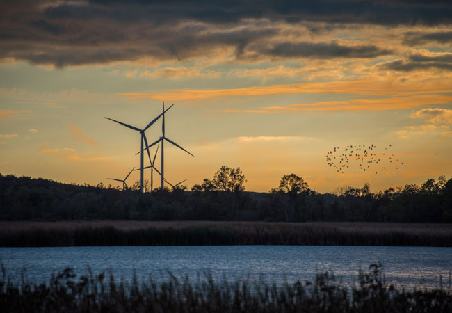PB: Siemens Gamesa receives a new order for 43 SG 4.5-145 turbines to be installed in Canada