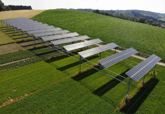 PM: Die Agrophotovoltaik-Anlage in Heggelbach am Bodensee. / © Fraunhofer ISE