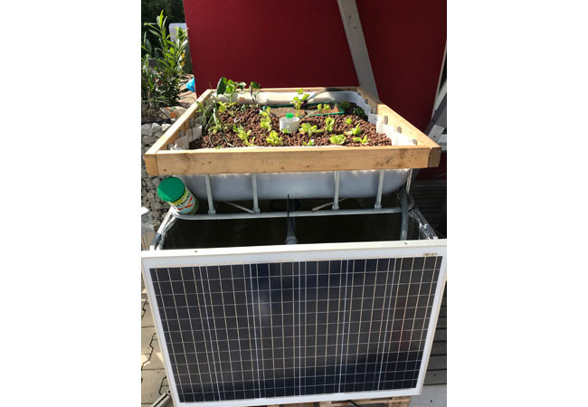 PB: Aquaponik System mit Solar auf dem Firmengelände iKratos