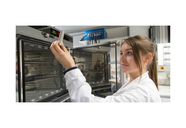 PB: „Frustrierte“ Ionen für die Feststoffbatterie