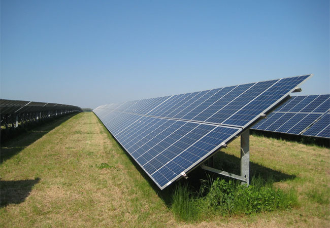 BU: PV Projekt in Polen / © Modus group