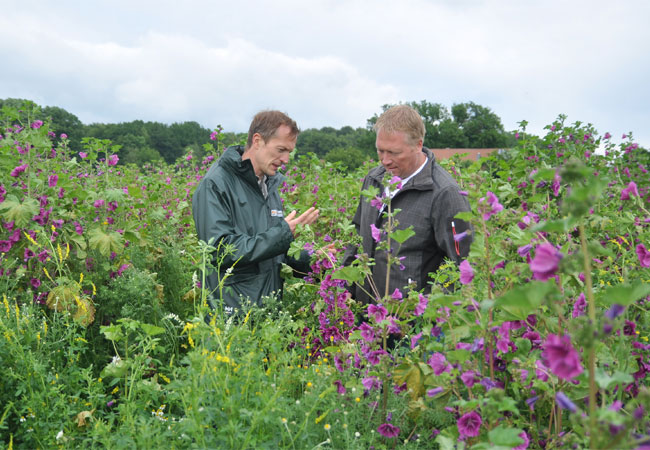 Bildunterschrift: Gespannt und zuversichtlich sind Henrik Borgmeyer (li.) und Daniel Tönsing nach der Begutachtung auf dem Testfeld der Initiative KLAr Melle. (Foto: René Sutthoff)