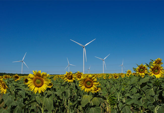 Pressebild des Windparks Antezant-la-Chapelle