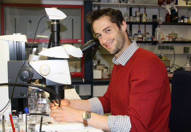 PB: Dr. Dominique Laniel, Universität Bayreuth. Foto: Christian Wißler.