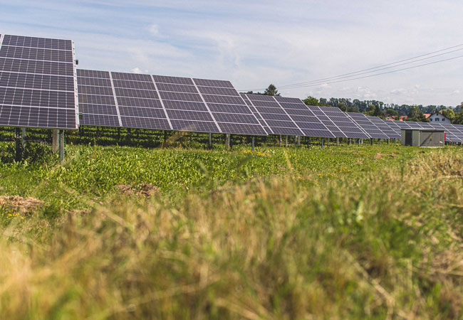 PB: Grünes Licht für Deutschlands größten Solarpark