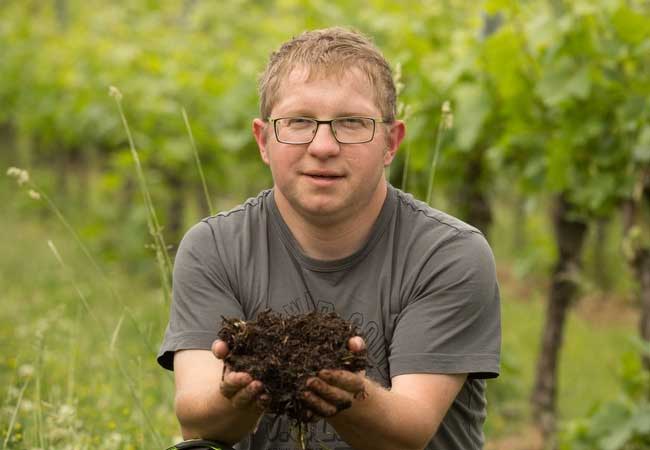 PB: Der Wein wird als „Sweet March“ Ende des Jahres vorgestellt werden. / Bildrechte: stephan huger / Fotograf: stephan huger