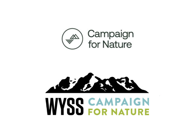 Internetauftritt: Campaign for Nature