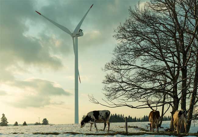 PB: Windenergieparks, die zwei Drittel ihrer Produktion im Winter liefern, müssen vom UVEK zusätzlich zu den grossen Speicherkraftwerken als « prioritär » eingestuft werden können. ©Photo : Käppeli_Rupert