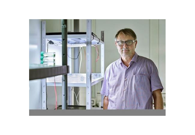 PB: Tilman Lamparter ist Professor für Allgemeine Botanik am KIT (Foto: Amadeus Bramsiepe, KIT)
