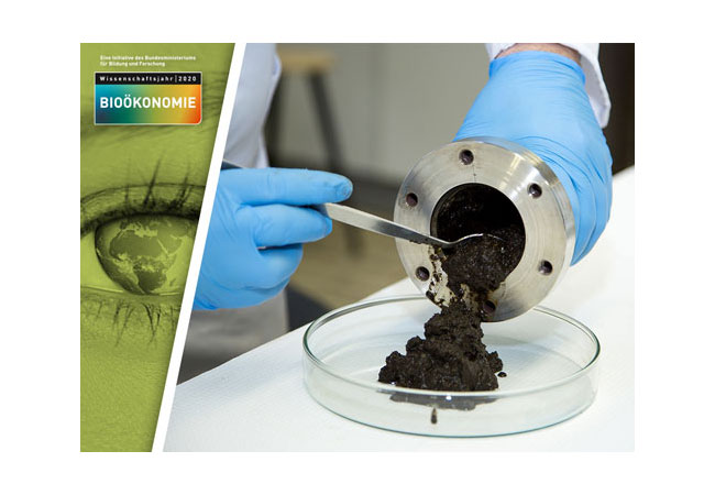 PB: Mögliche Alternative zu Kohle und Erdöl: Ein Team der Universität Hohenheim erforscht Bioraffinerie-Verfahren, die pflanzliche Biomasse in hochmoderne Kohlenstoff-Materialien umwandeln. | Bildquelle: Universität Hohenheim / Astrid Untermann