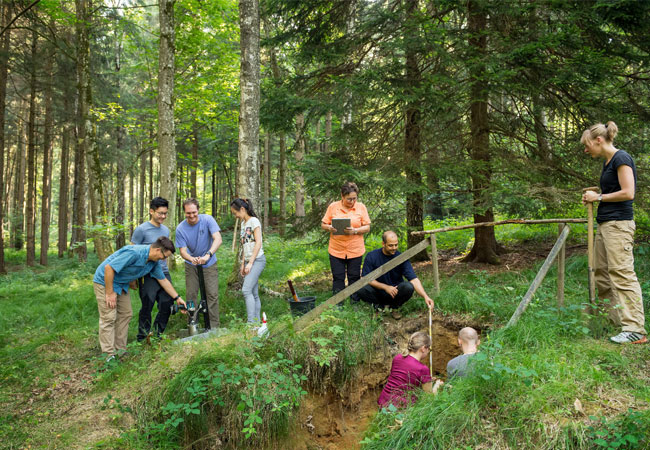 PB: Bodenprobenentnahme // Taking soil samples