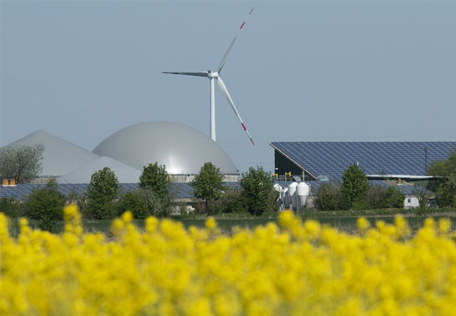 PB: Biogas, Solar, Wind, Raps / (c)DagmarJensen