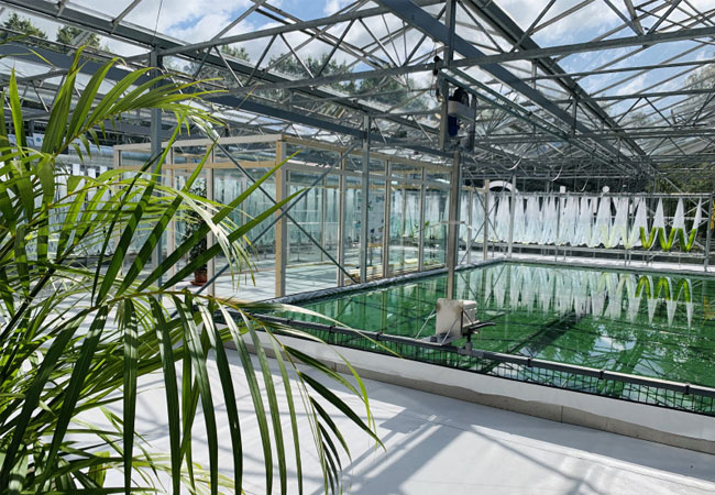 PB: Windcloud Algenfarm