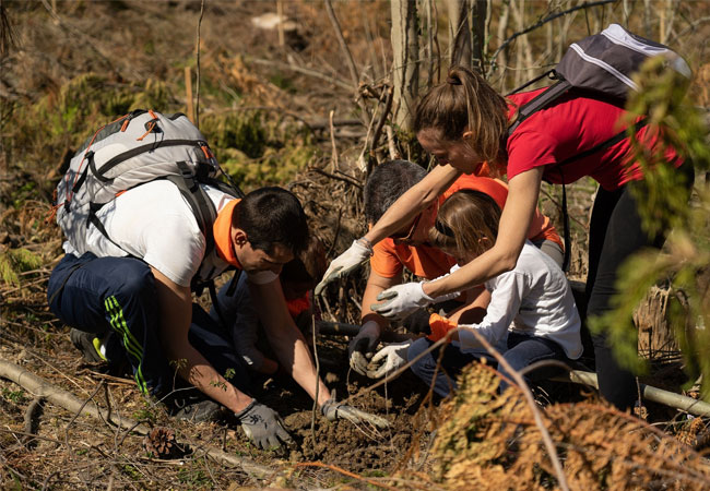 PB: The Forests of Siemens Gamesa