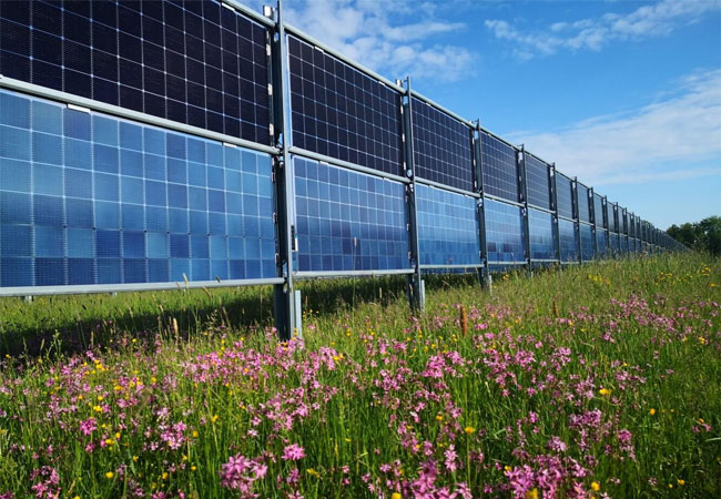 PB: Eröffnung von Deutschlands erster kommerzieller Agrar-Photovoltaikanlage / © Solverde Bürgerkraftwerke Energiegenossenschaft eG