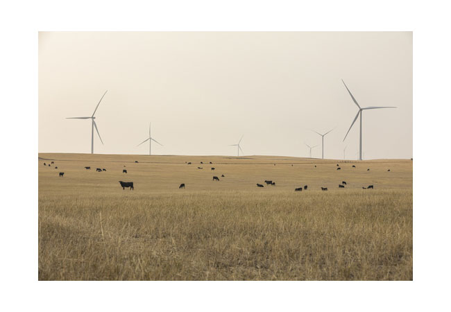 PB: Ørsted completes Willow Creek Wind and takes final investment decision on Western Trail Wind