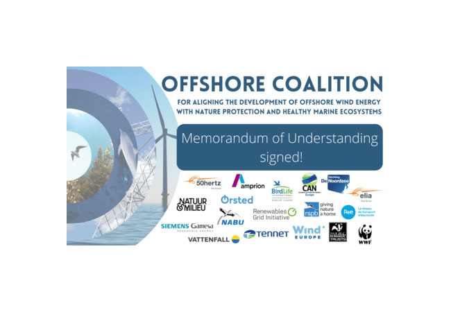 PB: Members of the Offshore Coalition