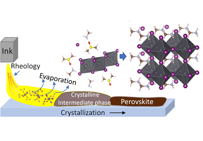 Schematische Darstellung: Aus der Tinte bildet sich über Zwischenphasen eine polykristalline Perowskit-Dünnschicht. © HZB