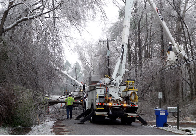 PB: Crew working to restore power after fallen tree downs power lines.