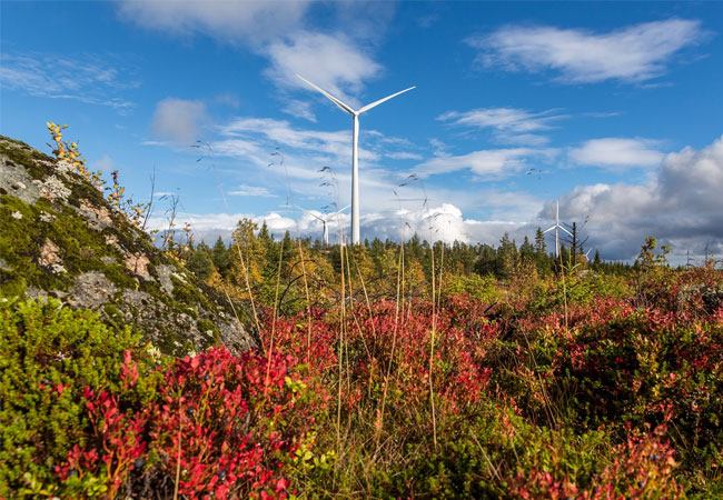 PB: SGRE WIND FARM IN SWEDEN