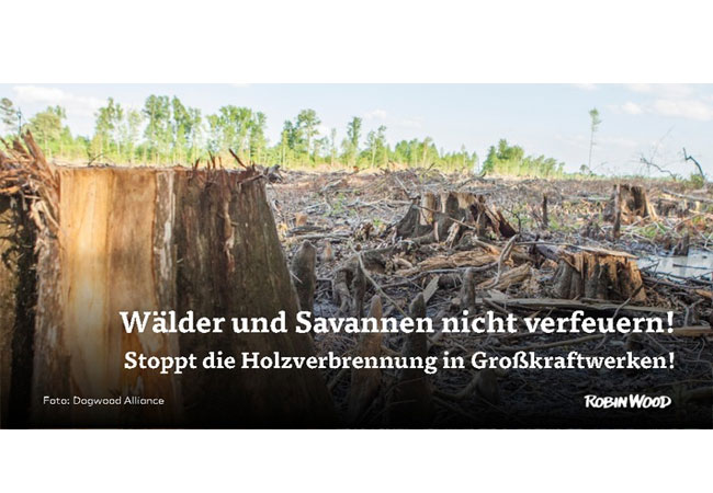 PB: Protest gegen Projekt zur Verfeuerung von Holz aus Namibia in deutschen Kraftwerken