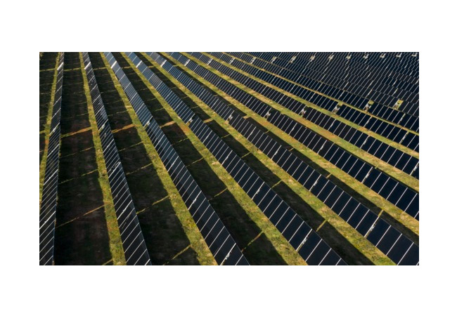 PB: Armadillo Solar Center in Navarro County, Texas.