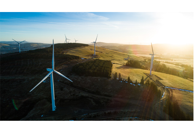 PB: Photo from wind farm in Garracummer, Ireland. Photocred: BRI.