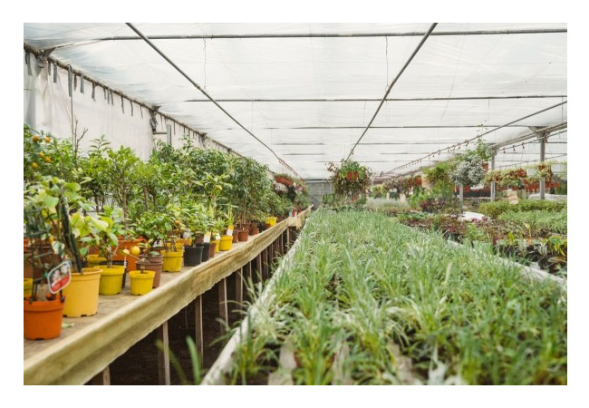 PB: Urban Greening Camp in Leipzig für Artenschutz, Cleantech, Greentech und Vertical Farming