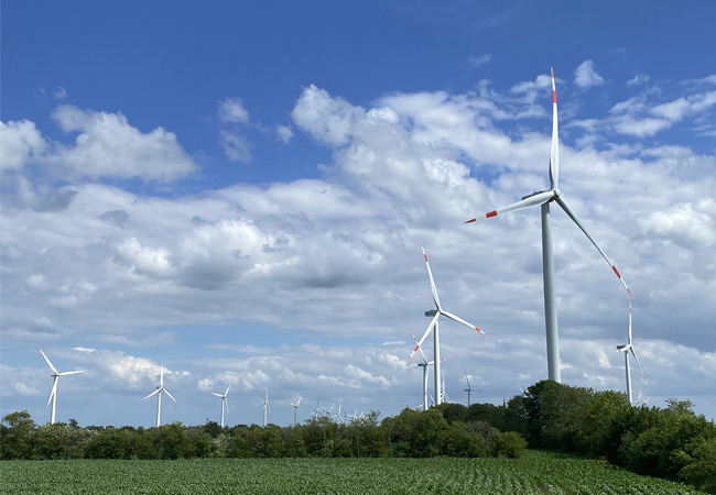 PB: Parasol als BNK System im Windpark Medelby