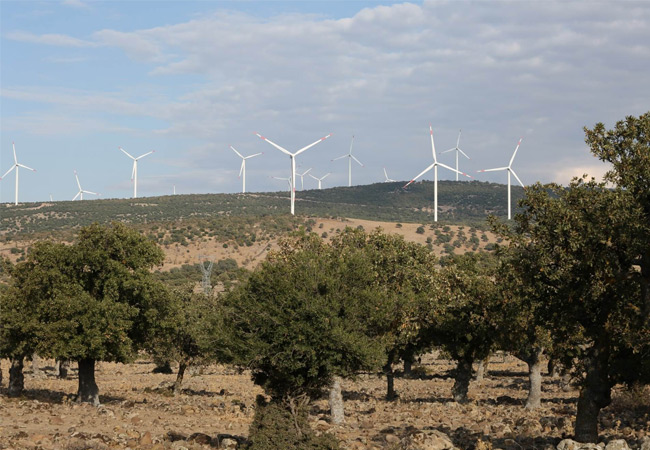 PB: Die Nordex Group hat sich in Spanien einen weiteren Auftrag mit Anlagen der Delta4000 Serie über 76,8 MW gesichert / © Nordex SE