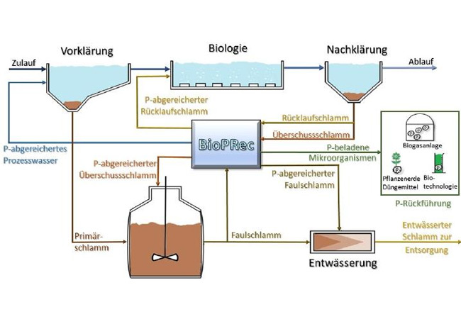 Einbindung des bypassfähigen BioPRec-Verfahren in konventionelle Kläranlagen CopyrightINEL-Netzwerk c/o abc advanced biomass concepts GmbH