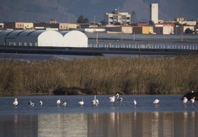PB: Förderung der Biodiversität durch nachhaltiges Modell der Wassernutzung / © CuteSolar