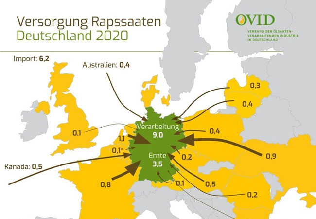 PB: Deutschland importiert immer mehr Raps. / © OVID, Verband der ölsaatenverarbeitenden Industrie in Deutschland e.V.