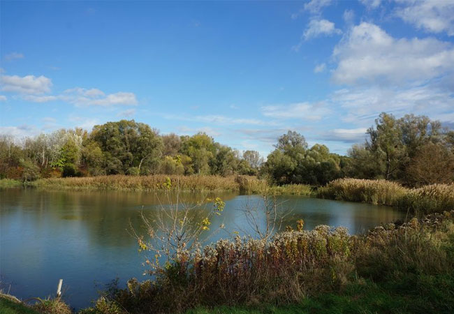 PB: Zunehmende Extremwetterereignisse gefährden die Wasserqualität von Wasserressourcen in Schwemmlandgebieten. / © A. P. Blaschke
