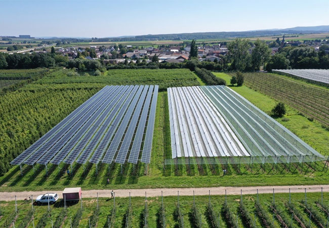 PB: Die Solarmodule schützen die Apfelbäume u.a. vor zu starker Sonneneinstrahlung und Extremwetter. / © Fraunhofer ISE