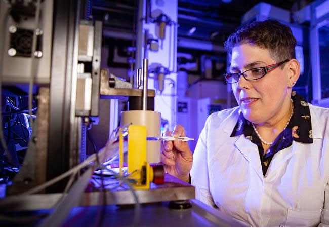 PB: Dr. Carmen Meuser, Wissenschaftliche Mitarbeiterin der Professur Alternative Fahrzeugantriebe der TU Chemnitz, spricht auf der Konferenz zum „Einfluss verschiedener Füge- und Klebeverfahren auf den Innenwiderstand von metallischen Bipolarplatten“. /