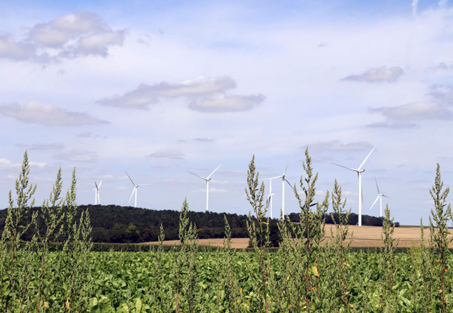 PB: NOTUS Windpark Compiegne