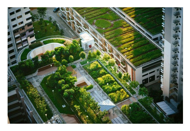 PB Urban-Greening / Greening Deserts
