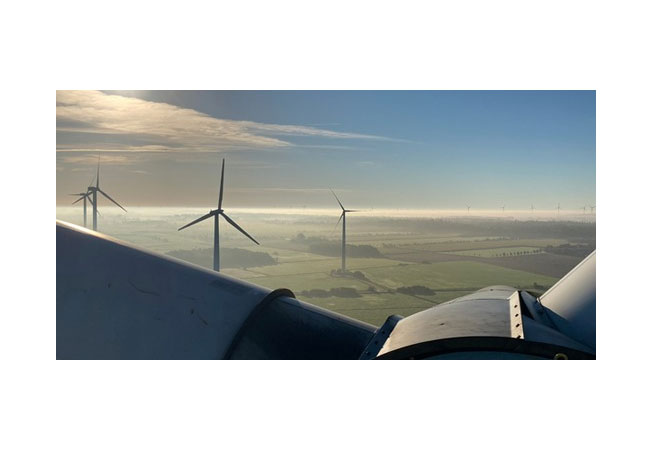 PB: Der Artenschutz ist nicht das zentrale Hemmnis der Energiewende / Foto: Holger Ohlenburg 